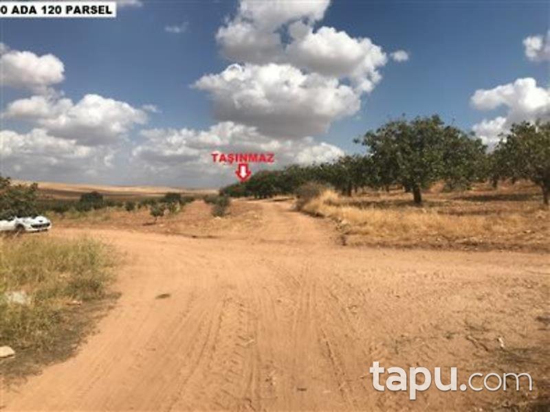 Şanlıurfa Karaköprü Külaflı Mahalles'inde 19750 m2 Bağ