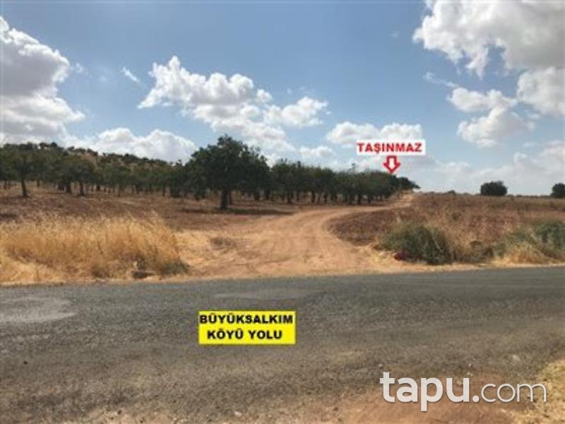 Şanlıurfa Karaköprü Külaflı Mahalles'inde 19750 m2 Bağ