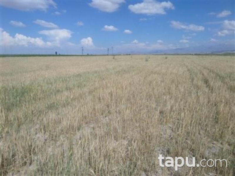 Niğde Merkez Konaklı Kasabası Çorak Mevkii'de 17 Dönüm Tarla