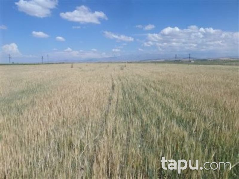 Niğde Merkez Konaklı Kasabası Çorak Mevkii'de 17 Dönüm Tarla