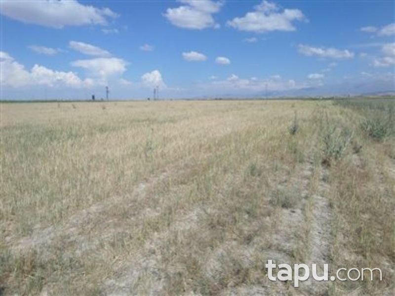 Niğde Merkez Konaklı Kasabası Çorak Mevkii'de 17 Dönüm Tarla