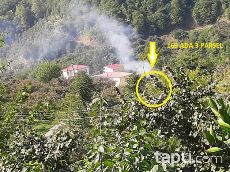 Trabzon Beşikdüzü Vardallı Mahallesi'nde 1302 m2 Fındık Bahçesi