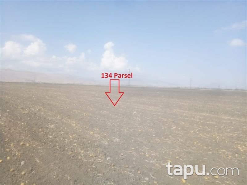 Afyonkarahisar Dinar Ergenli Mahallesi'nde 2 Adet Tarla