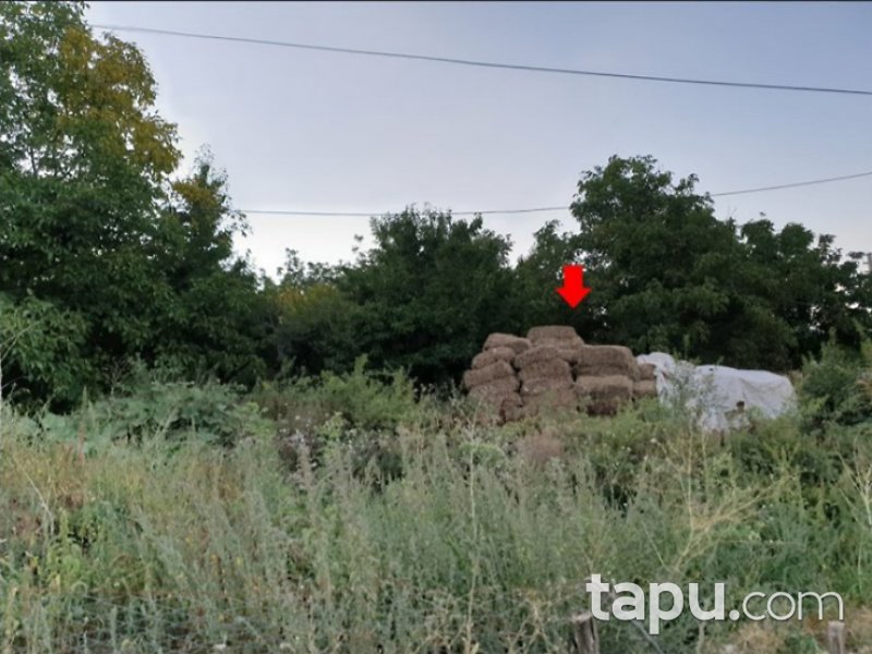 Niğde Ulukışla Zafer Mahallesi'nde 606 m2 İmarlı Arsa