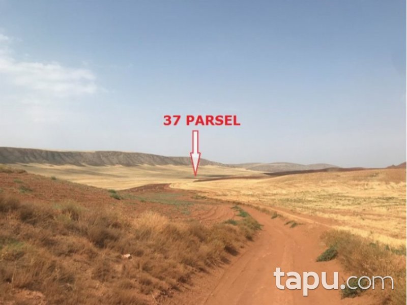 Çorum Sungurlu Yeşilova Mahallesi'nde 10600 m2 Tarla