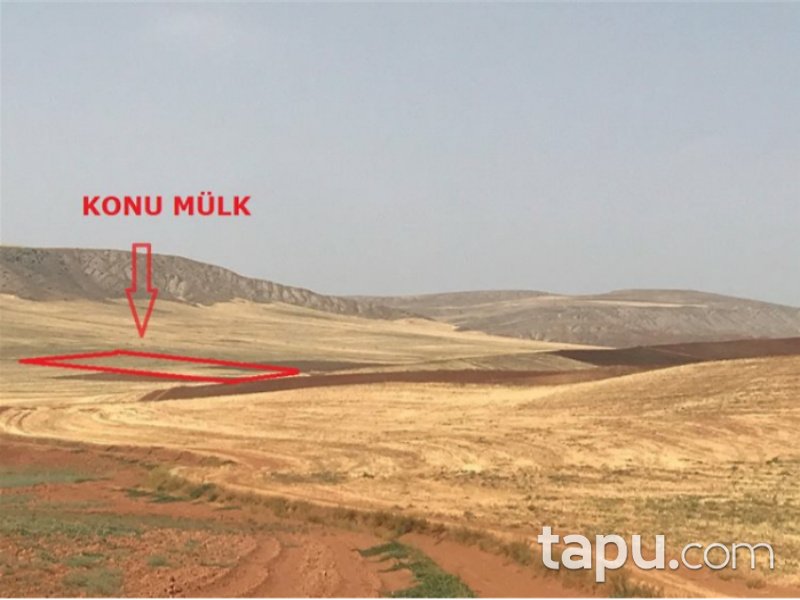 Çorum Sungurlu Yeşilova Mahallesi'nde 10600 m2 Tarla