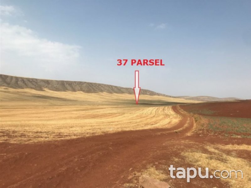 Çorum Sungurlu Yeşilova Mahallesi'nde 10600 m2 Tarla