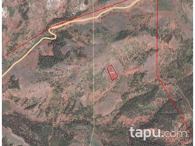 Bolu Göynük Ceylanlı Mahallesi'nde 3.900 m2 Tarla