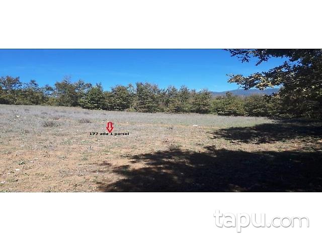 Bolu Göynük Ceylanlı Mahallesi'nde 3.900 m2 Tarla