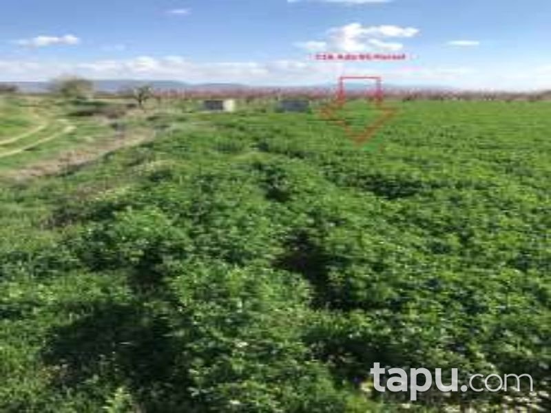 Denizli Çivril Akçaköy Mahallesi'nde 3195 m2 Tarla