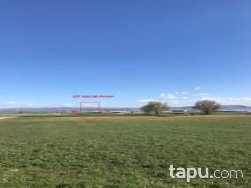 Denizli Çivril Akçaköy Mahallesi'nde 2546 m2 Tarla