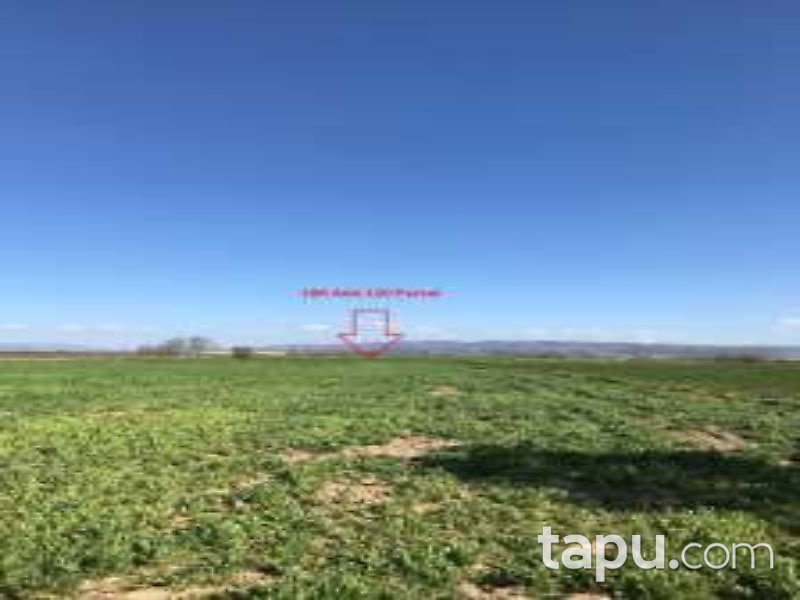 Denizli Çivril Akçaköy Mahallesi'nde 2546 m2 Tarla