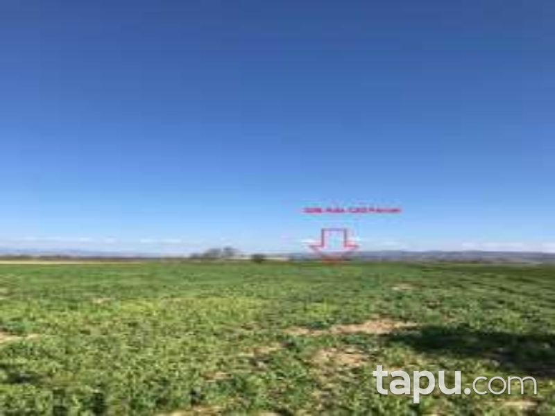 Denizli Çivril Akçaköy Mahallesi'nde 2546 m2 Tarla