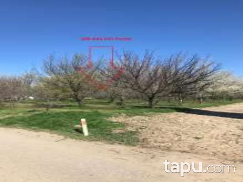 Denizli Çivril Akçaköy Mahallesi'nde 2546 m2 Tarla