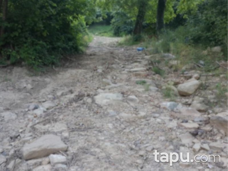 Düzce Cumayeri Üvezbeli Mahallesi'nde 16 Dönüm Tarla