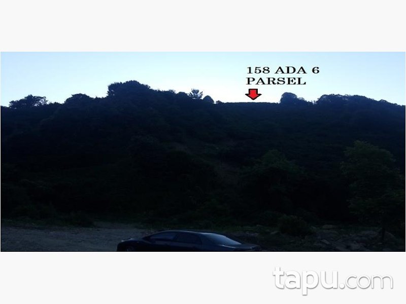 Düzce Cumayeri Üvezbeli Mahallesi'nde 16 Dönüm Tarla