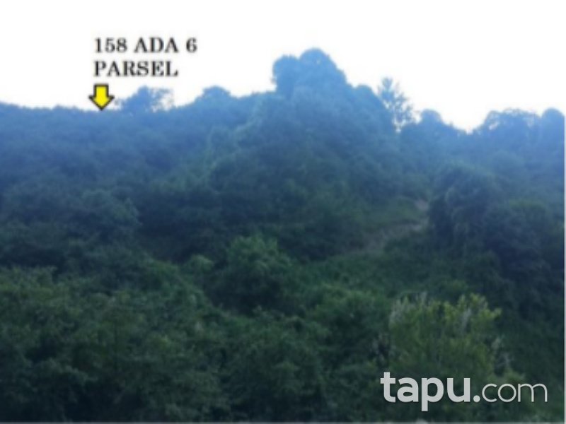 Düzce Cumayeri Üvezbeli Mahallesi'nde 16 Dönüm Tarla