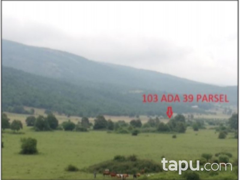 Bilecik Osmaneli Hisarcık Mahallesi'nde 6755 m2 Tarla