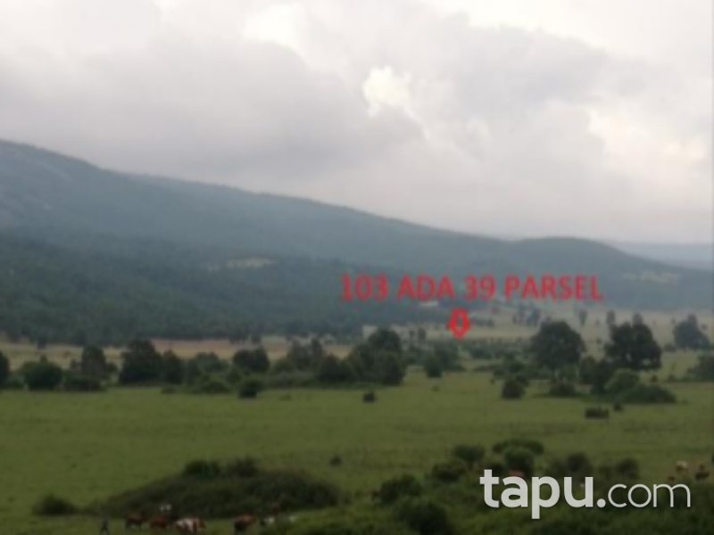 Bilecik Osmaneli Hisarcık Mahallesi'nde 6755 m2 Tarla