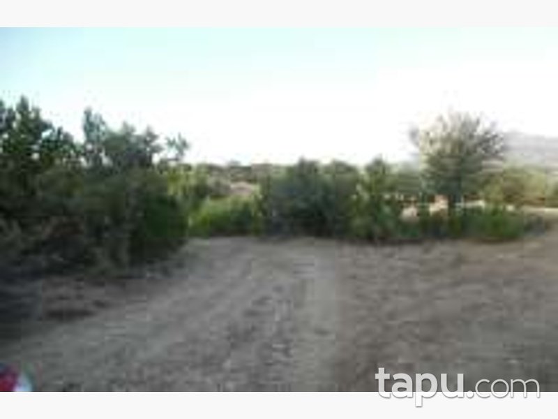 Bolu Göynük Ceylanlı'da 4201 m2 Tarla