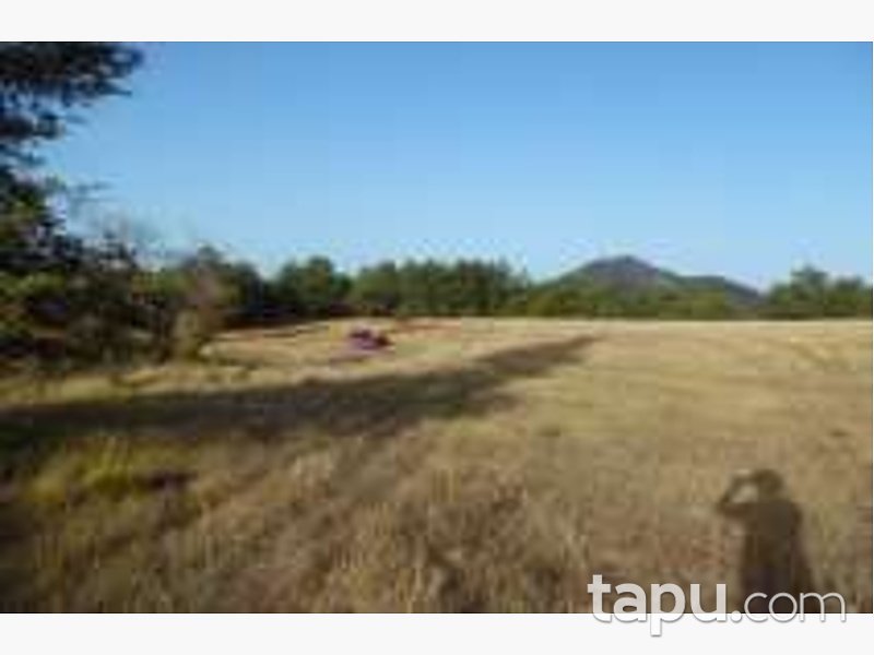 Bolu Göynük Ceylanlı'da 4201 m2 Tarla