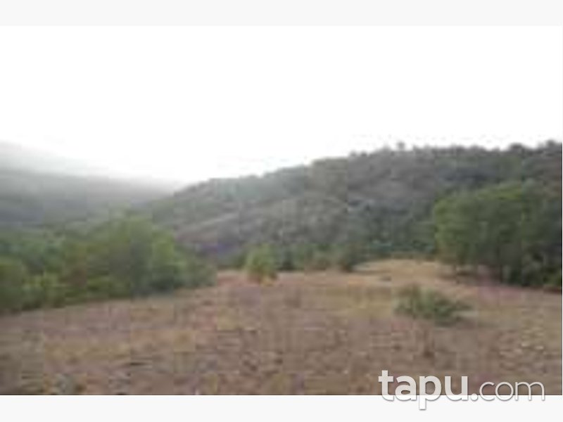 Bolu Göynük Ceylanlı'da 4201 m2 Tarla