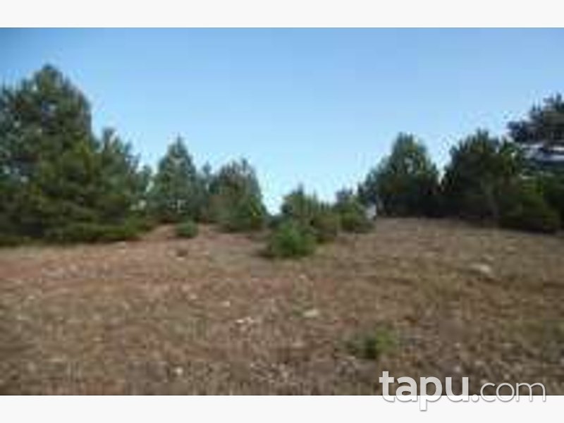 Bolu Göynük Ceylanlı'da 4201 m2 Tarla