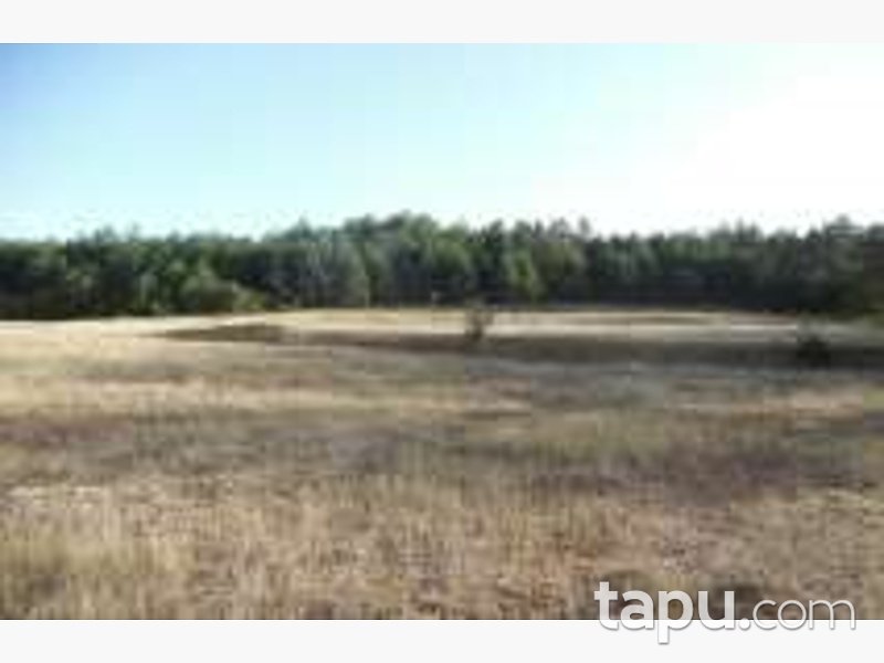 Bolu Göynük Ceylanlı'da 4201 m2 Tarla