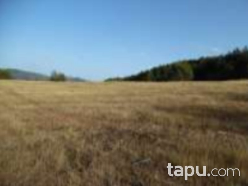 Bolu Göynük Ceylanlı'da 4201 m2 Tarla