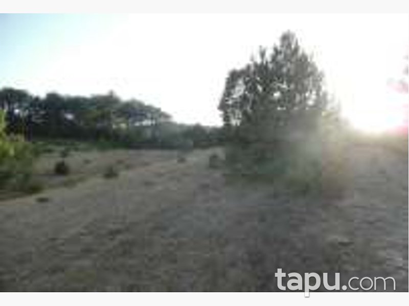 Bolu Göynük Ceylanlı Mahallesi'nde 2104 m2 Tarla