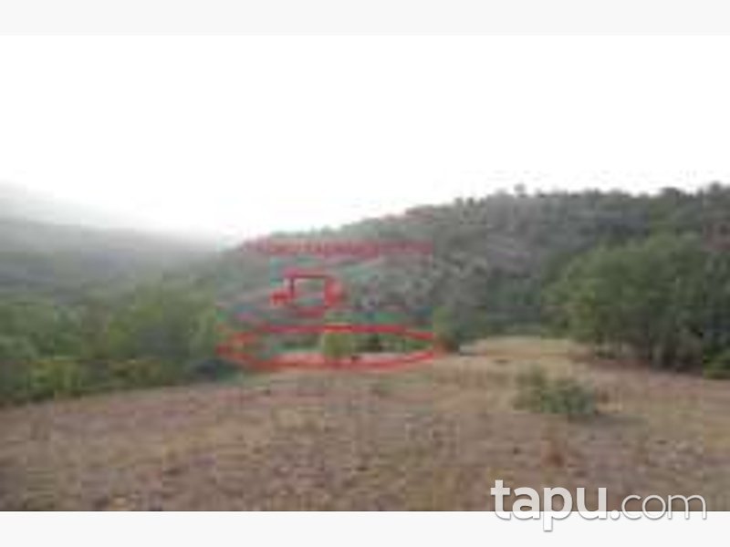 Bolu Göynük Ceylanlı Mahallesi'nde 2104 m2 Tarla