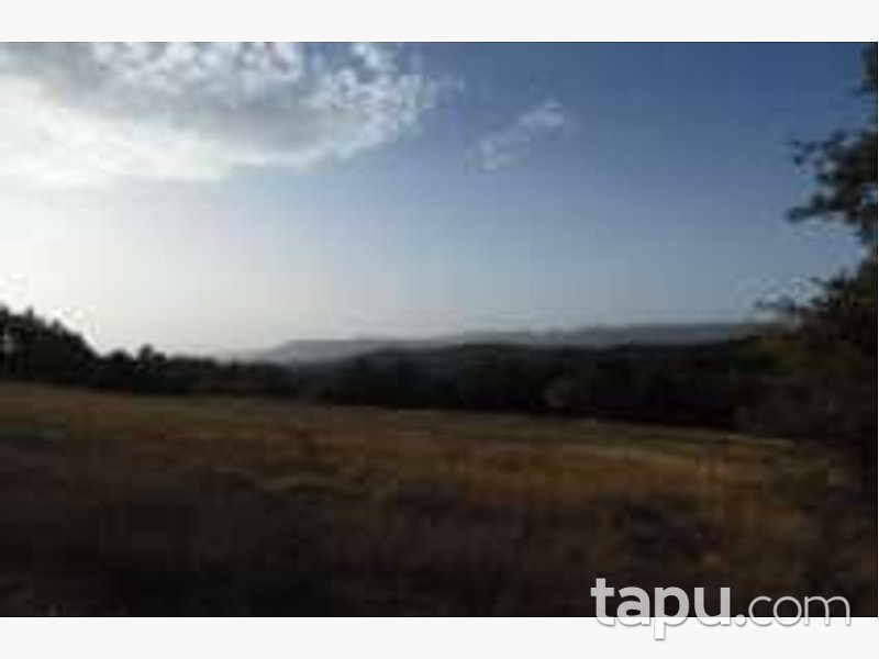 Bolu Göynük Ceylanlı Mahallesi'nde 2104 m2 Tarla