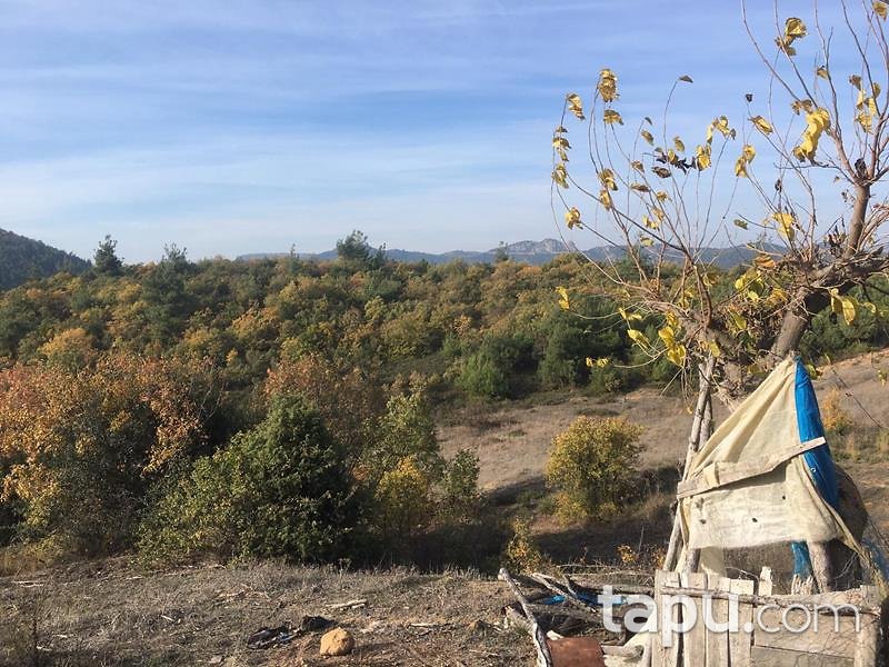 Bilecik Osmaneli Belenalan Mahallesi'nde 5452 m2 Tarla