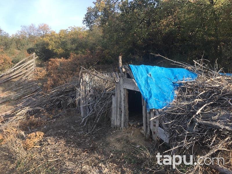 Bilecik Osmaneli Belenalan Mahallesi'nde 5452 m2 Tarla