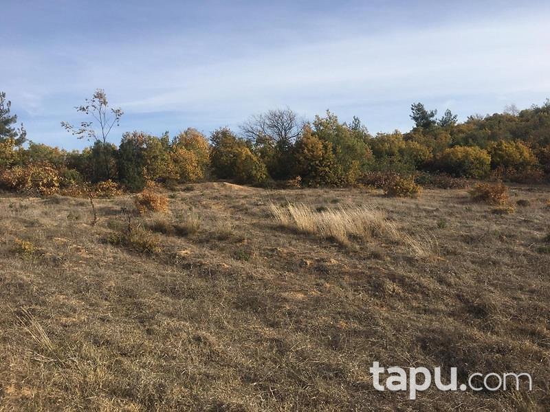 Bilecik Osmaneli Belenalan Mahallesi'nde 5452 m2 Tarla