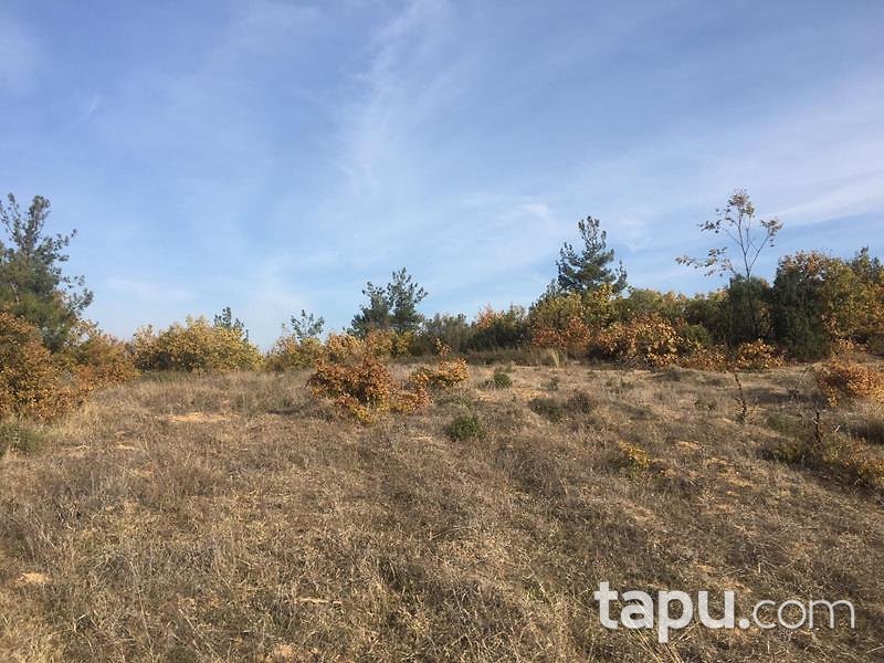 Bilecik Osmaneli Belenalan Mahallesi'nde 5452 m2 Tarla
