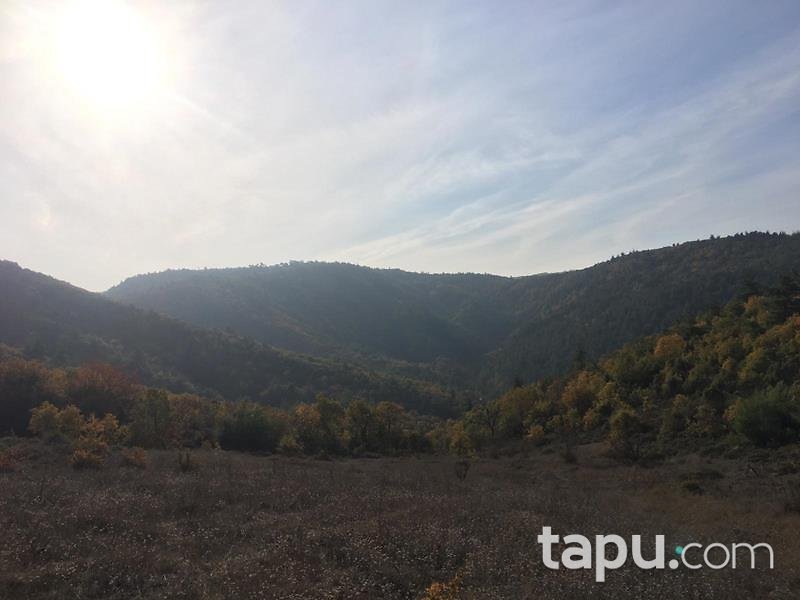 Bilecik Osmaneli Belenalan Mahallesi'nde 5452 m2 Tarla