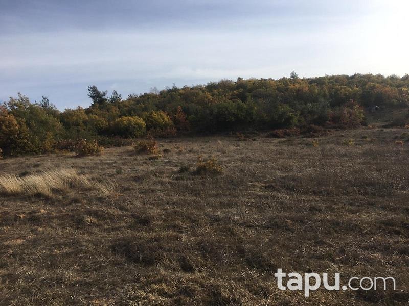 Bilecik Osmaneli Belenalan Mahallesi'nde 5452 m2 Tarla