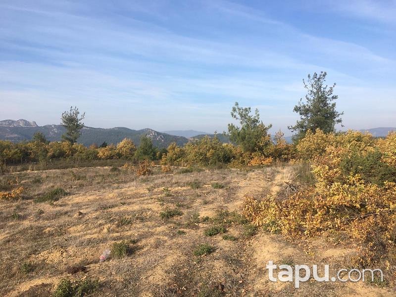 Bilecik Osmaneli Belenalan Mahallesi'nde 5452 m2 Tarla