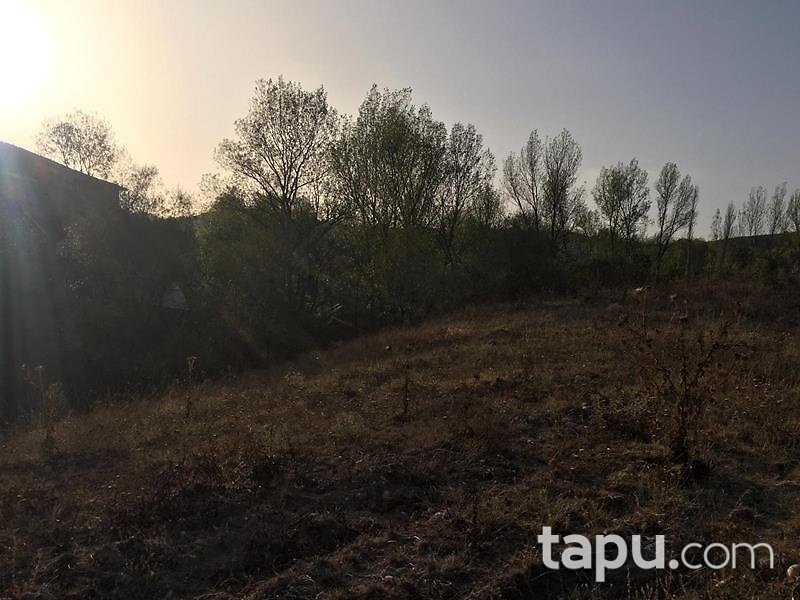 Bilecik Yenipazar Belkese Mahallesi'nde 3473 m2 Tarla