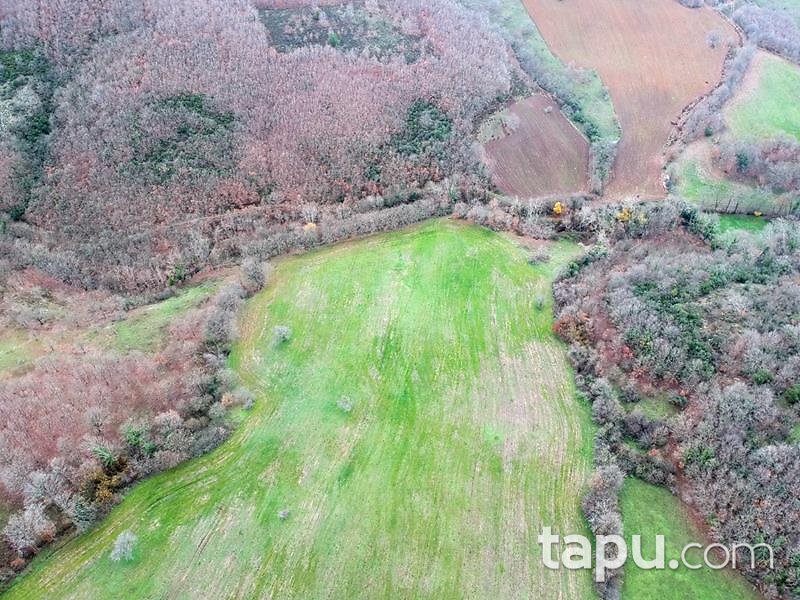 Çanakkale Biga Çeltik Mahallesi'nde 4000 m2 Tarla