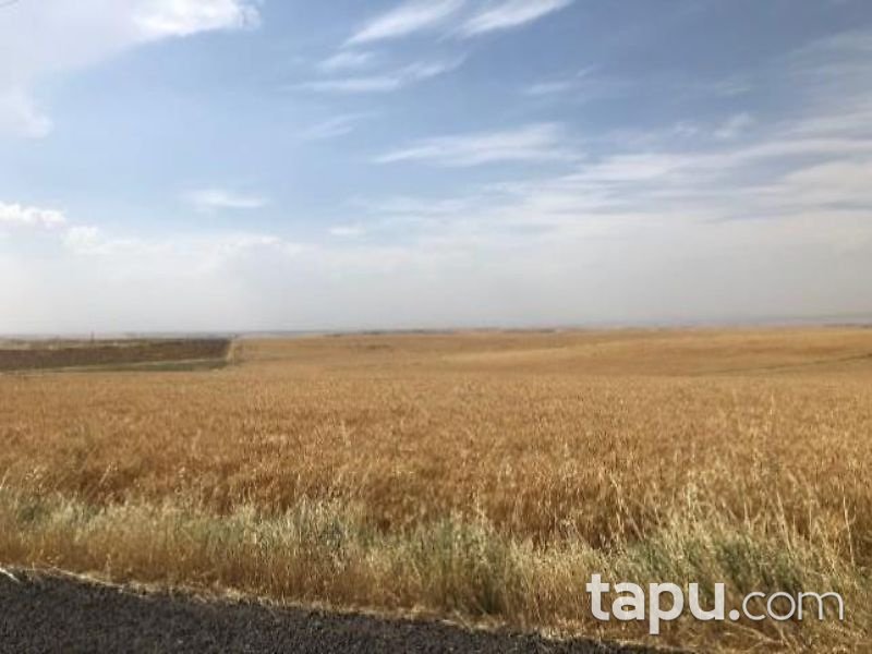 Diyarbakır Bismil Karahan Mahallesi'nde 95 Dönüm Tarla