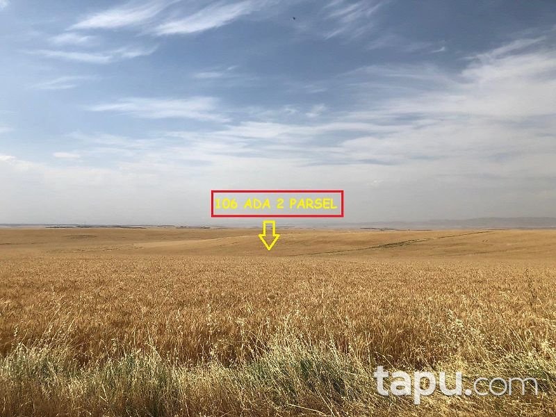 Diyarbakır Bismil Karahan Mahallesi'nde 95 Dönüm Tarla