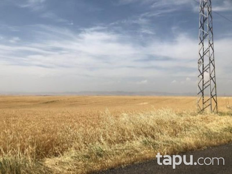 Diyarbakır Bismil Karahan Mahallesi'nde 95 Dönüm Tarla