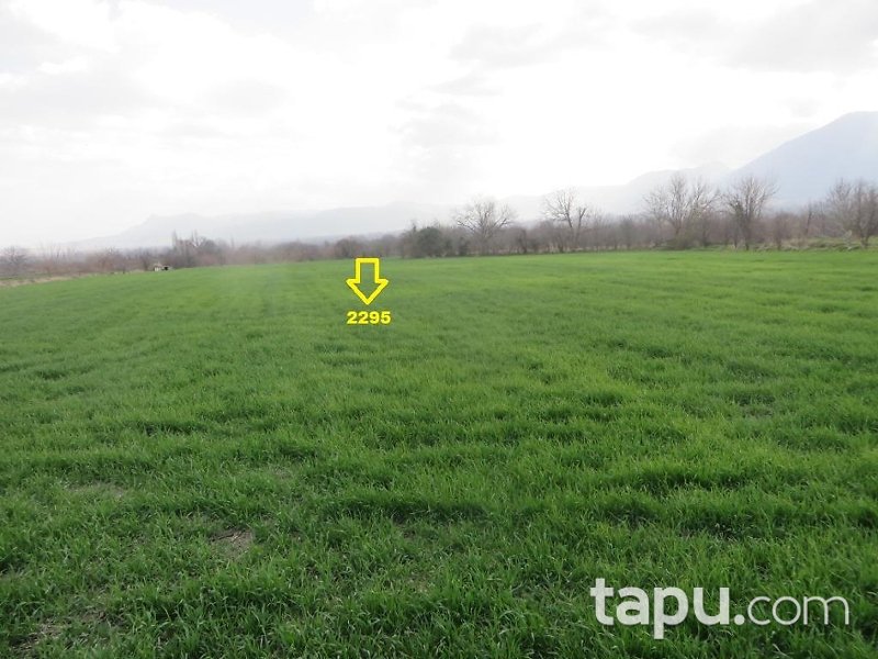 Denizli Honaz Cumhuriyet Mahallesi'nde 18 Dönüm Bahçe