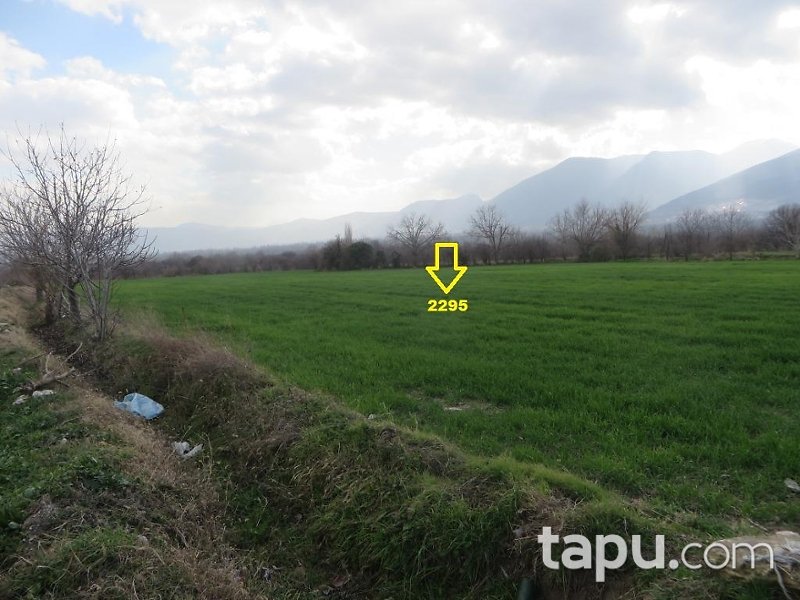 Denizli Honaz Cumhuriyet Mahallesi'nde 18 Dönüm Bahçe