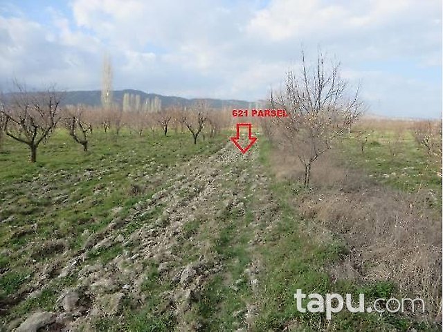 Denizli Honaz İlçesi'nde 3 Adet Bağ