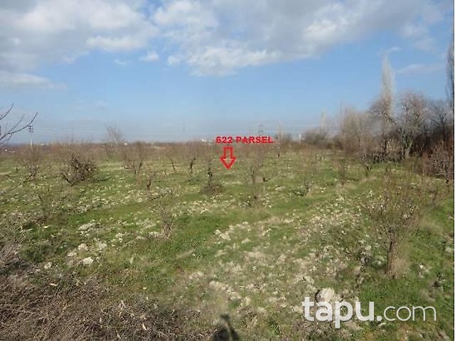 Denizli Honaz İlçesi'nde 3 Adet Bağ