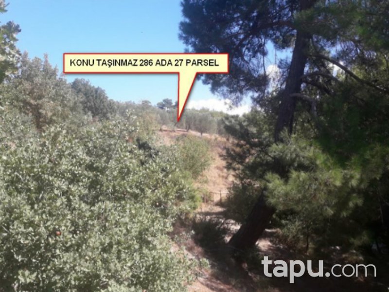 Çanakkale Merkez Akçapınar Mahallesi'nde 14412 m2 Tarla