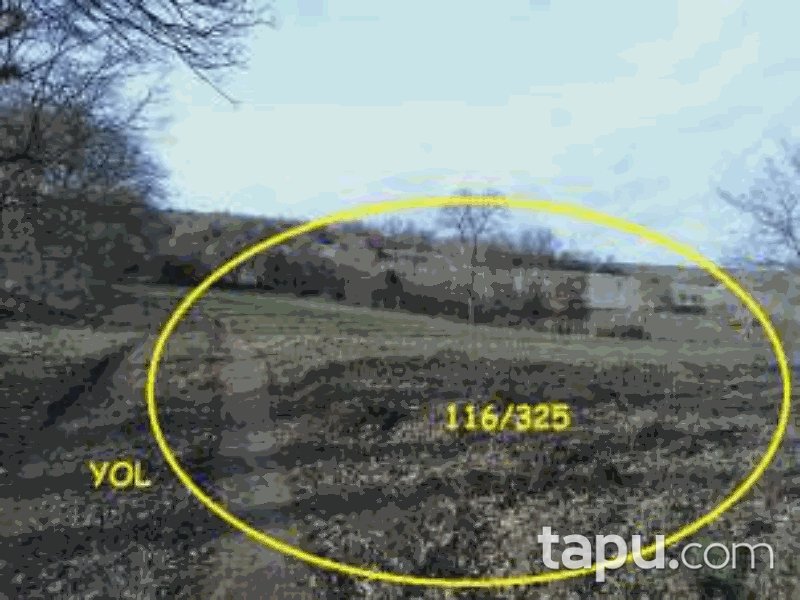 Balıkesir Altıeylül Dallımandıra Mahallesi'nde 2819 m2 Tarla (664)